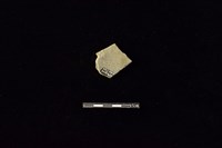 陶片藏品圖，第2張